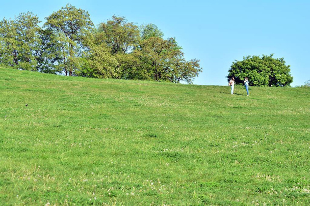 Beautiful park scene in public park with green grass field, green tree plant and a party cloudy blue sky - Photo, Image