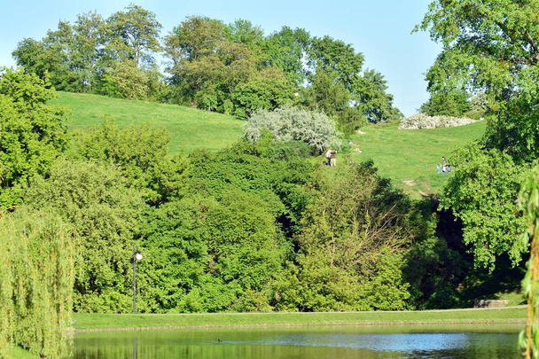 schöne Parkszene im öffentlichen Park mit grünem Rasen, grüner Baumpflanzung und einer Party mit wolkenlosem blauem Himmel - Foto, Bild