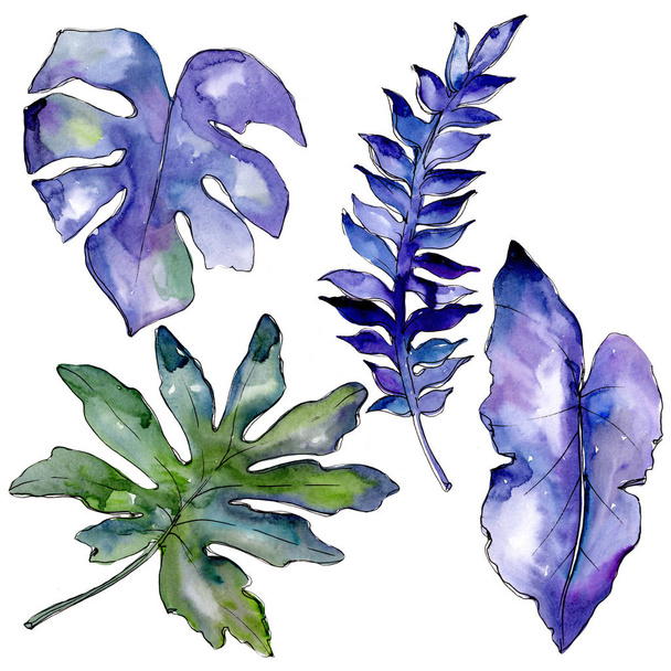 Blue tropical leaves in a watercolor style isolated.  - Photo, Image