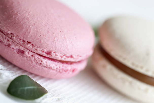 Pink, white Macaroons close-up, spring green petals, tender pastel background. Romantic morning, gift for beloved. Selective focus - 写真・画像