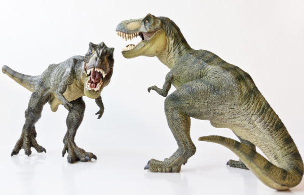 Пара тираннозавров на белом фоне
 - Фото, изображение