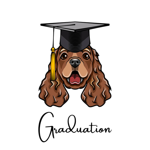 Cocker Spaniel graduate. Graduations hat cap. Pet portrait. Vector. - Wektor, obraz