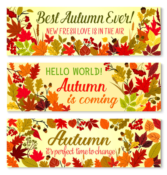 Autumn banner of fall season forest nature frame - Vector, Image