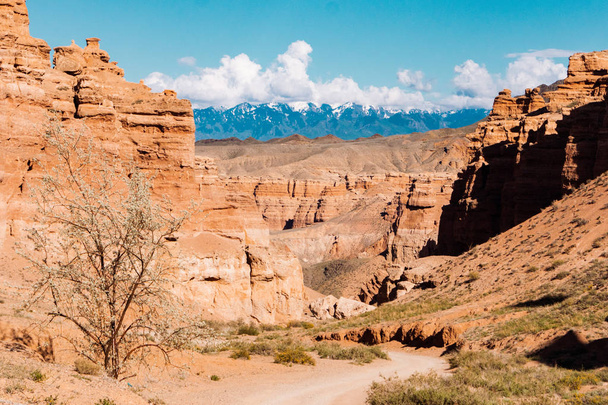 Charyn перегляд Нижній Каньйон - геологічна формація складається з дивно великий червоного каменю й піску. Charyn Національний парк. Казахстан. - Фото, зображення