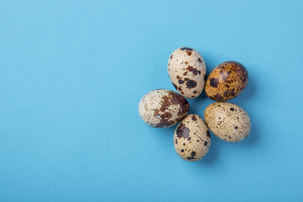 Beautiful spotted fresh quail eggs on a blue paper background - 写真・画像