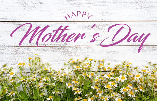 Μινιατούρα μαργαρίτες ή χαμομήλι σε φόντο λευκό σανίδα με την ημέρα της Μητέρας χαιρετισμό - Φωτογραφία, εικόνα