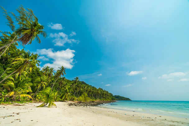 Hermosa naturaleza tropical playa y mar con palmera de coco o
 - Foto, imagen