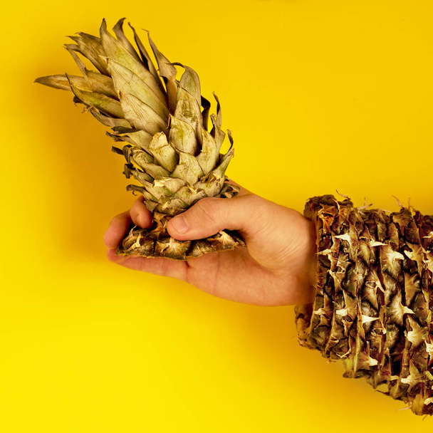 Pineapple top with leaves in hand and the rest of the skin is dressed in hand - Photo, Image