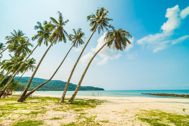Hermosa playa tropical y mar con palmera de coco en desfile
 - Foto, imagen