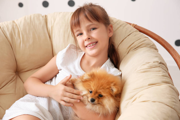 Cute girl with little dog in round chair at home - Fotografie, Obrázek