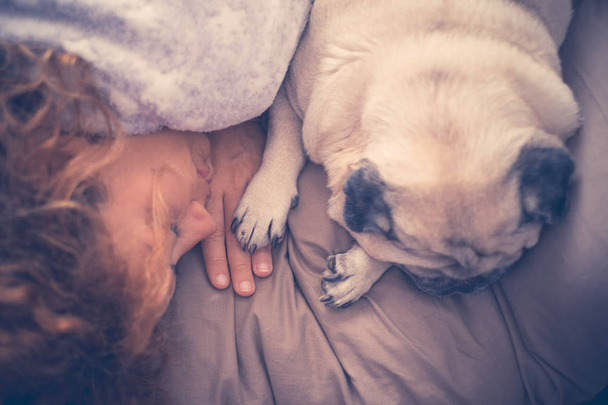a woman with long curly hair sleeping in a woolen blanket with two pug dog - Photo, Image