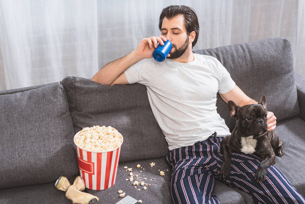 guapo solitario palming bulldog y beber bebida en sofá en sala de estar
  - Foto, imagen