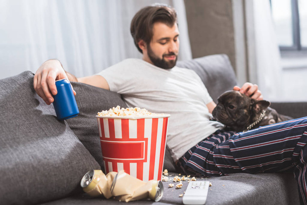 bello solitario palmare bulldog e bere sul divano in soggiorno
  - Foto, immagini