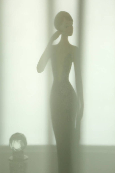 silhouette woman figure doll - Foto, Bild