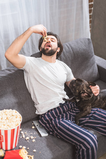 high angle view of handsome loner sitting with bulldog and eating french fries on sofa in living room  - 写真・画像