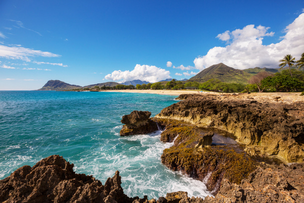 Beautiful landscapes in Oahu island, Hawaii - Photo, Image