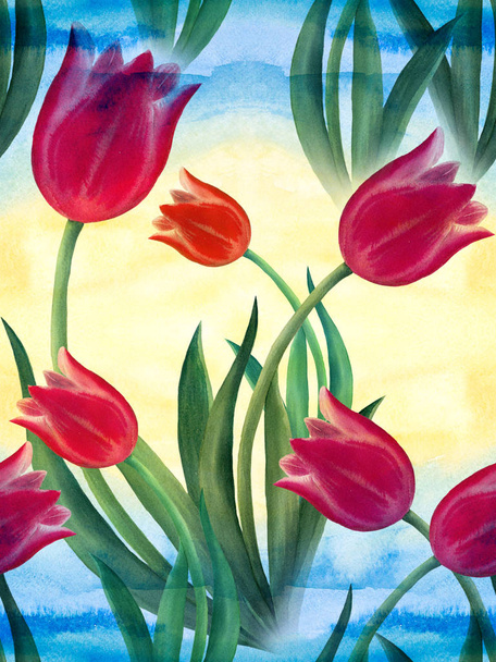 Los tulipanes - el dibujo en la acuarela. Imagen de fondo. Flores de primavera. Patrón sin costura
. - Foto, Imagen