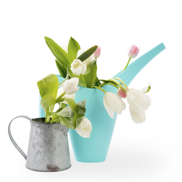 Blue plastic watering can with a bouquet of flowers of yellow daffodils and white and pink tulips on the white background. Garden accessories. - Photo, image