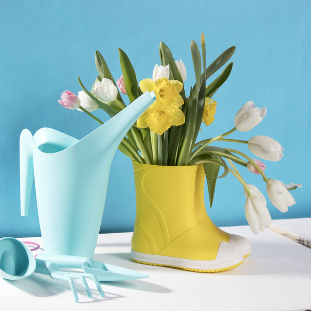 the Yellow rubber boots with a bouquet of flowers of yellow daffodils and white and pink tulips on white wooden table on the violet background. Garden accessories. - Fotoğraf, Görsel