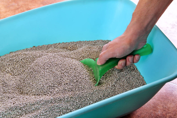 Cleaning cat litter box. Hand is cleaning of cat litter box with green spatula. Toilet cat cleaning sand. Man hand and cat litter box. Kitty litter. Plastic scoop and shovel. Cleaning cat excrement. - Photo, Image
