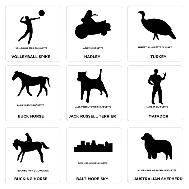 Sada 9 jednoduchých upravovat ikony jako australský ovčák, baltimore oblohy, vzpírá kůň - Vektor, obrázek