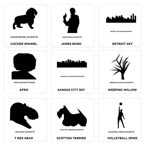 Set von 9 einfach editierbaren Symbolen wie Volleyball-Spike, Scottish Terrier, T-Rex-Kopf - Vektor, Bild