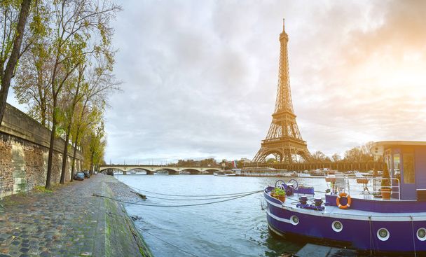 Belle vue panoramique sur la Tour Eiffel et le pont d'Iéna
 - Photo, image