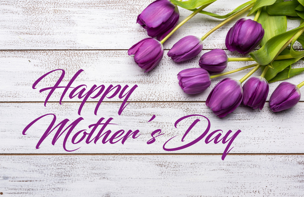 Группа фиолетовых тюльпанов на белом фоне с приветствием ко дню матери
 - Фото, изображение