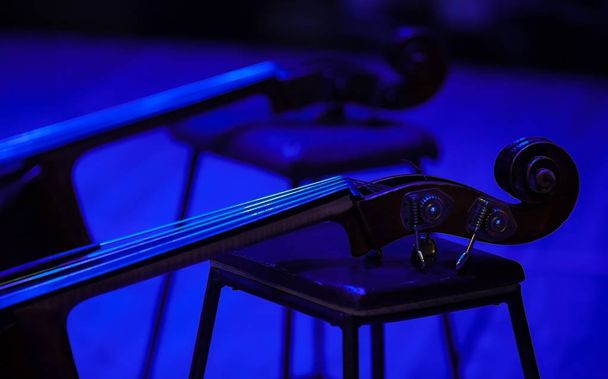 Kaksi kontrabassia lavalla sinisessä valaistuksessa
 - Valokuva, kuva