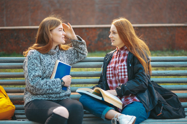 Δύο μαθητές συζητάνε - Φωτογραφία, εικόνα
