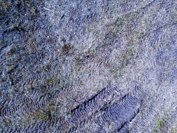 afbeelding van de drone. Luchtfoto van landelijk gebied met velden en bossen - Foto, afbeelding