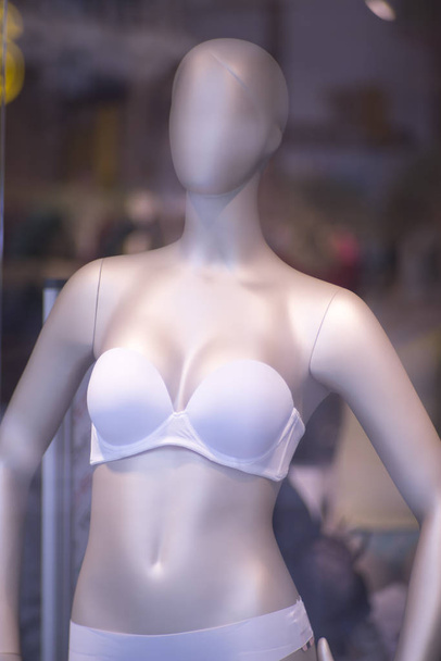 Вікно жіночого модного магазину
 - Фото, зображення