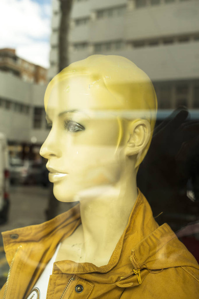 Womens fashion shop window - Photo, Image