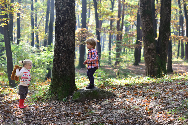 Children play in autumn forest. Brother and sister have fun on fresh air. Little boy and girl friends camping in woods. Childhood and child friendship, love and trust. Kids activity and active rest - Photo, image