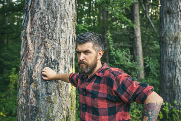 Summer vacation concept. Bearded man in forest. Hipster with long beard on natural green landscape. Tourist in plaid shirt relax at tree. Traveler hiking on sunny day. - Photo, image