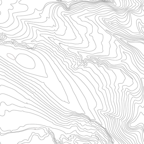 Topografinen kartta tausta käsite tilaa kopioida. Topografia linjat taiteen ääriviivat, vuoristo vaellus polku, Shape vektori suunnittelu. Luotu tietokone
   . - Vektori, kuva