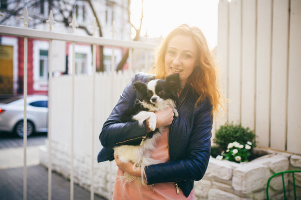 Uma jovem caucasiana ruiva segura um pequeno cão engraçado nos braços de duas cores de chihuahua preto e branco. Abraços e beijos amor mostra contra uma cerca de madeira branca ao pôr do sol
 - Foto, Imagem