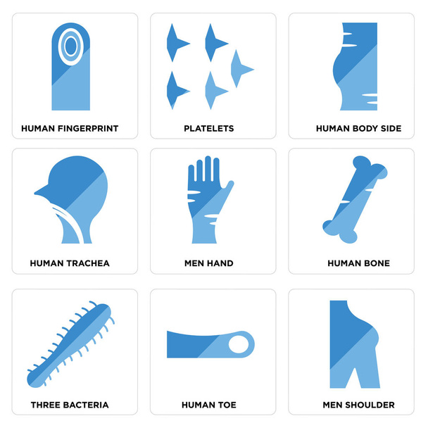 Conjunto de 9 iconos editables simples, tales como hombres hombro, dedo del pie humano, tres bacterias
 - Vector, imagen