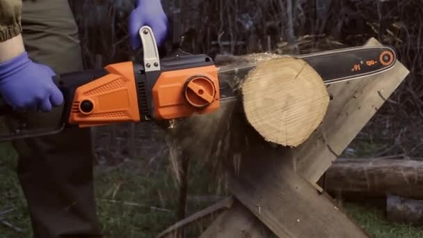 チェーンソー切断木の労働者。裏庭の背景に木材のログを切断青い手袋と服の労働者の写真. - 映像、動画