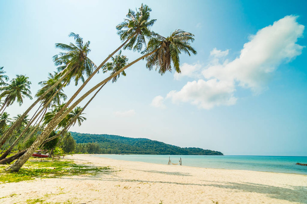 Kaunis trooppinen ranta ja meri kookospalmulla paradissa
 - Valokuva, kuva