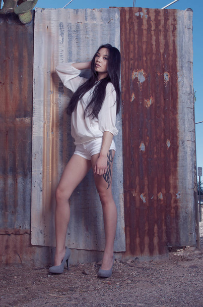 Beautiful stylish Asian model fashion shoot - Foto, Bild