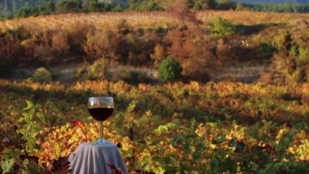 赤ワインのガラス。秋のワイン - 映像、動画