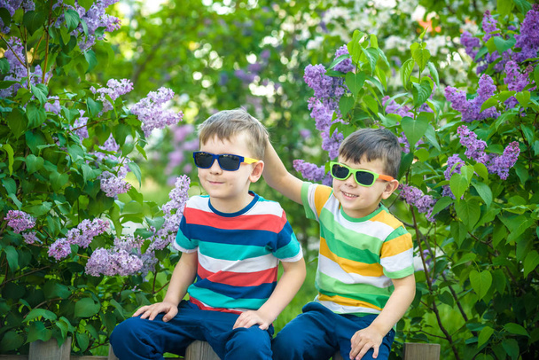 Retrato de dos hermanitos sentados en una pequeña cerca en arbustos
 - Foto, imagen