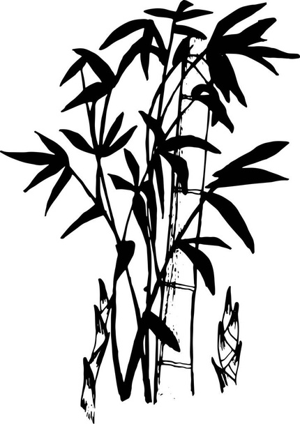 Black and white illustration of a bamboo tattoo - Διάνυσμα, εικόνα