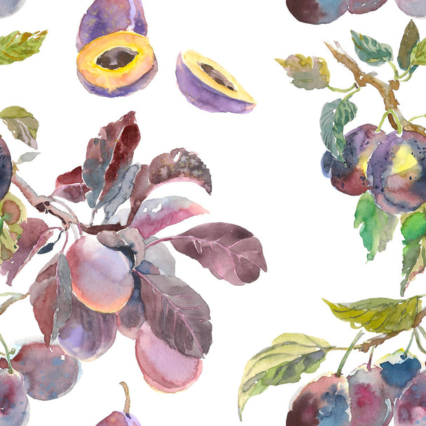 Seamless pattern of watercolor fruit plum branch isolated on white background. Hand drawn painting. for your design, cloth, package - Foto, afbeelding