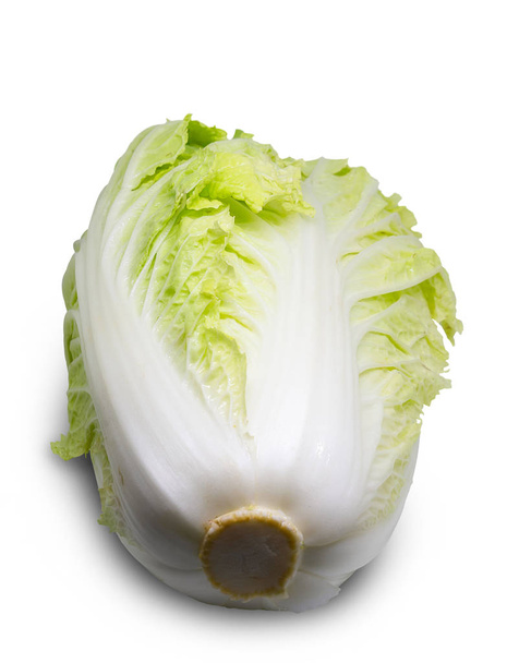 Chinese cabbage.(clipping path)  - Photo, Image