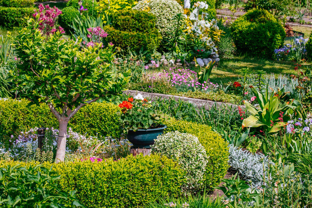 Güzel ev bahçe servis birimi bahar - Fotoğraf, Görsel