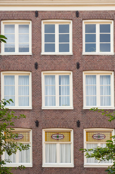 Amsterdam Hollanda içinde pencere eşiği ile tuğla duvar - Fotoğraf, Görsel