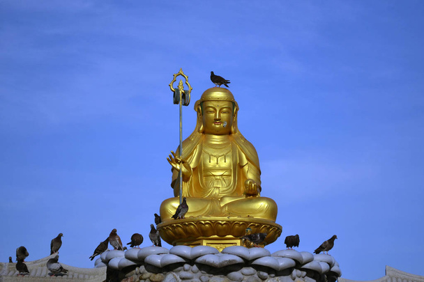 Το χρυσό άγαλμα του Βούδα, περιβάλλεται από πουλιά. Pic λήφθηκε clo - Φωτογραφία, εικόνα