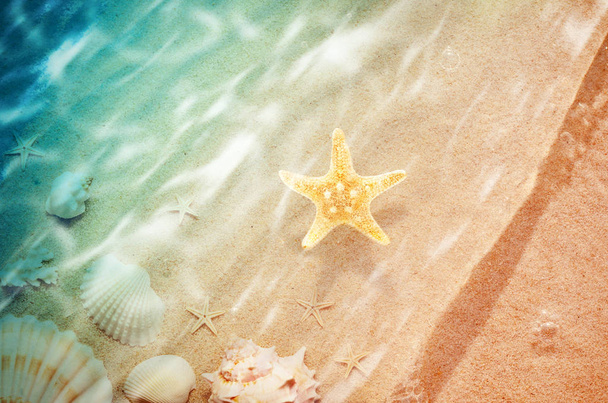 rozgwiazda na lato Plaża z piaskiem - Zdjęcie, obraz